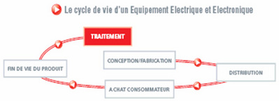 Organigramme cycle de vie